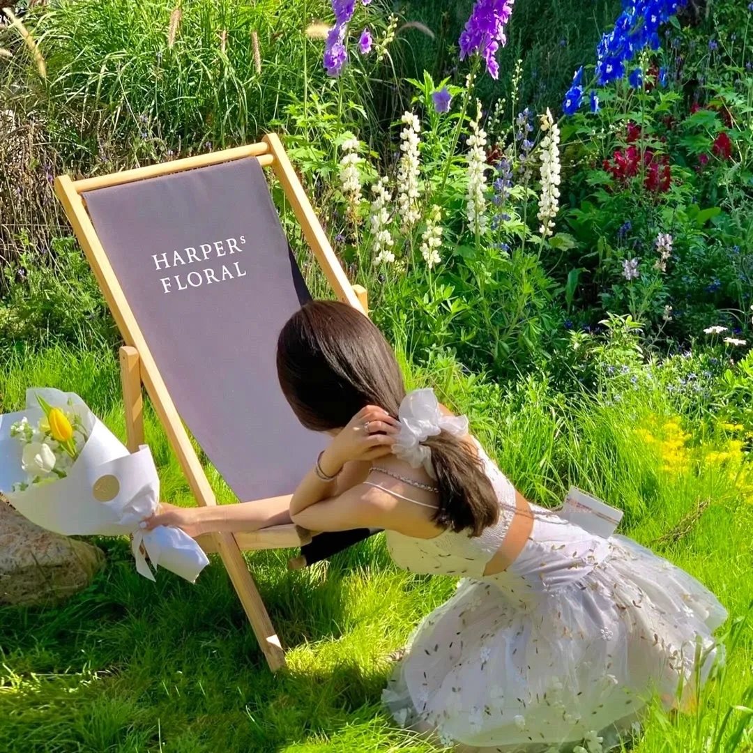 吻我吧，青蛙王子