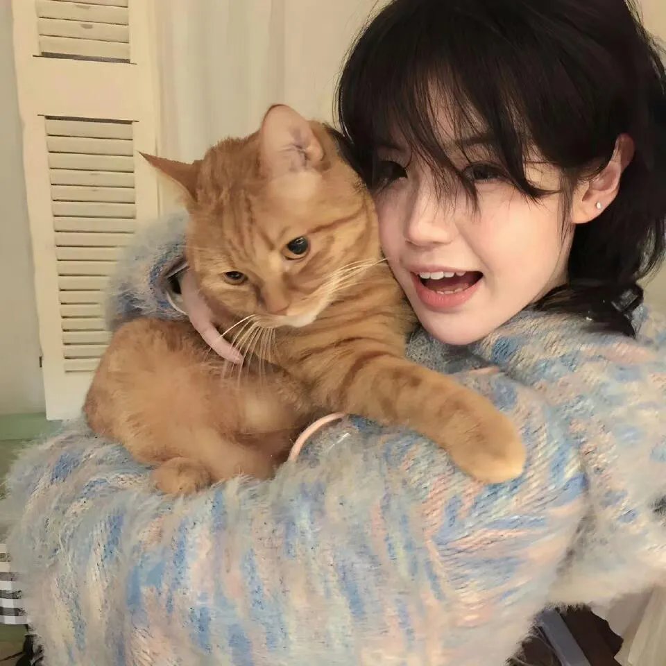 少帅的复仇女佣