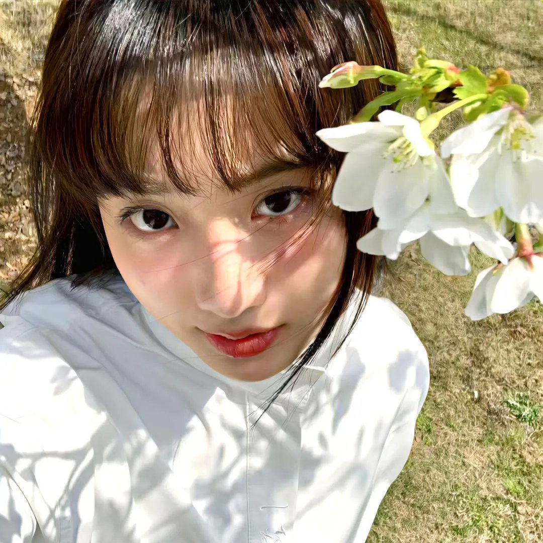 生母养母的战争